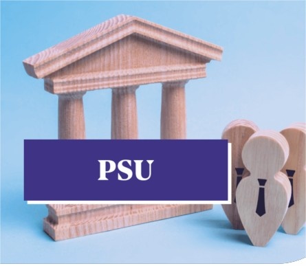 Government & PSU
